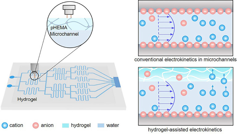 Hydrogel-Assisted Electrokinetics for High-Resolution and Non-invasive Flow Monitoring in Microfluidic Chips†