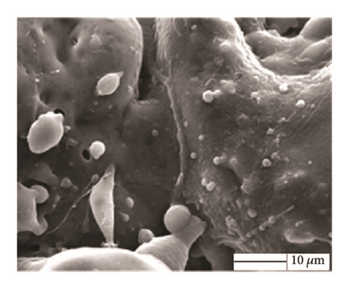 Details are in the caption following the image