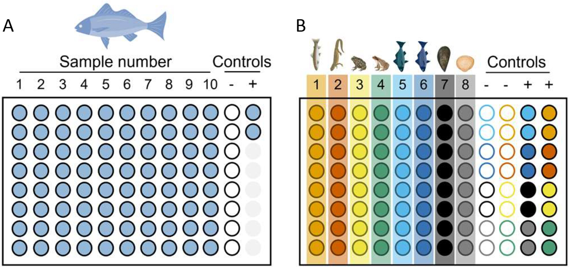 Environmental DNA (eDNA) Quantitative Polymerase Chain Reaction-Based Assays for Surveying 125 Taxa of Importance to North America