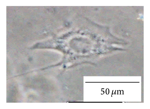 Details are in the caption following the image