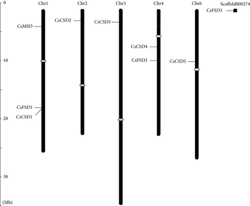 Details are in the caption following the image
