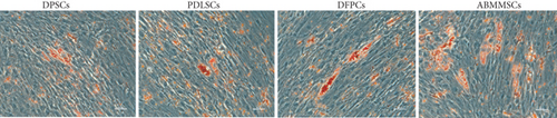 Details are in the caption following the image Details are in the caption following the image