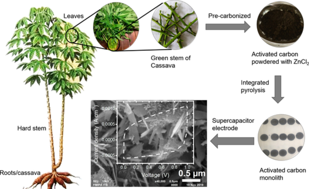 Porous activated carbon monolith with nanosheet/nanofiber structure derived from the green stem of cassava for supercapacitor application
