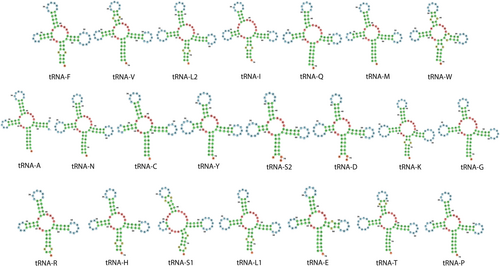Details are in the caption following the image Details are in the caption following the image