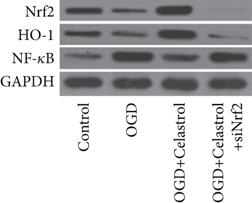 Details are in the caption following the image