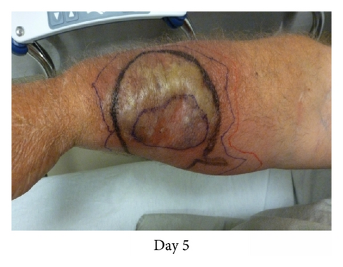 Details are in the caption following the image Details are in the caption following the image