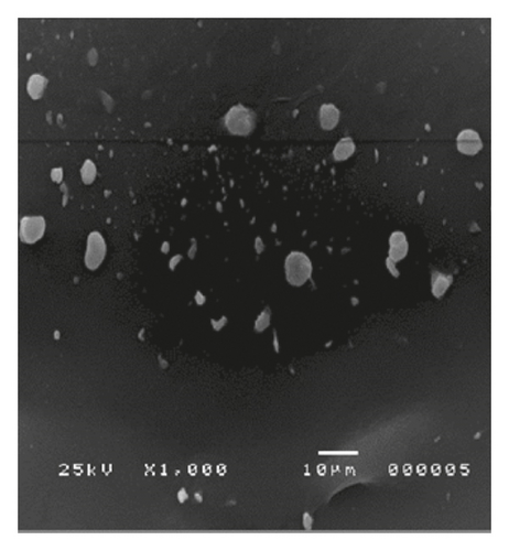 Details are in the caption following the image