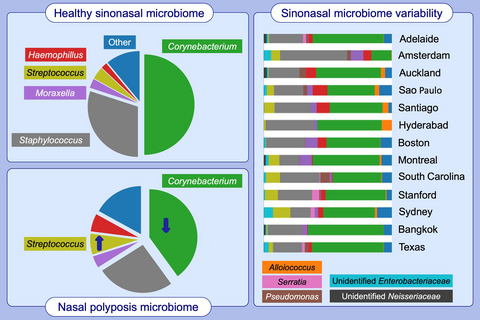 The international sinonasal microbiome study: A multicentre, multinational characterization of sinonasal bacterial ecology