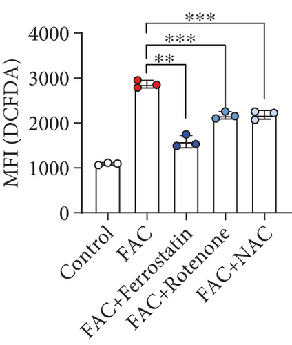 Details are in the caption following the image