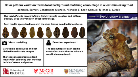 Colour pattern variation forms local background matching camouflage in a leaf-mimicking toad