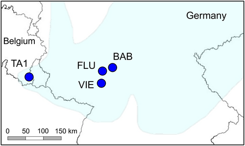 Details are in the caption following the image Details are in the caption following the image