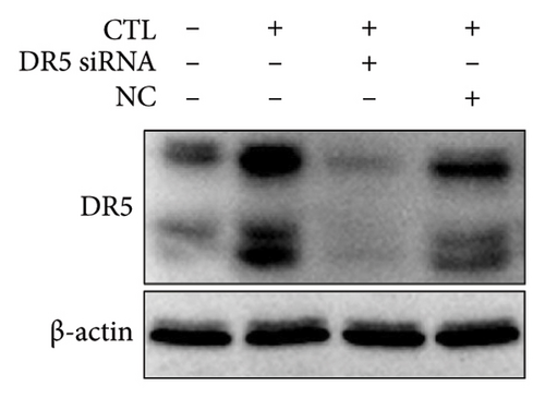 Details are in the caption following the image