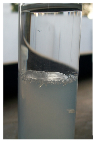 Details are in the caption following the image