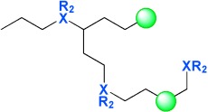 Versatile Pathways for In Situ Polyolefin Functionalization with Heteroatoms: Catalytic Chain Transfer
