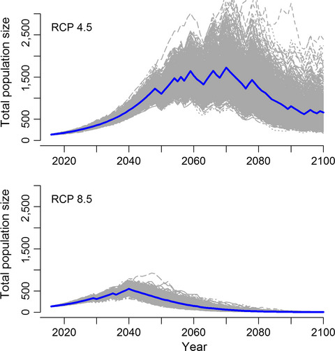 Non-linear effect of sea ice: Spectacled Eider survival declines at both extremes of the ice spectrum