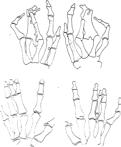 Details are in the caption following the image