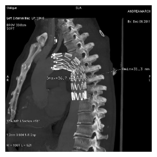 Details are in the caption following the image Details are in the caption following the image