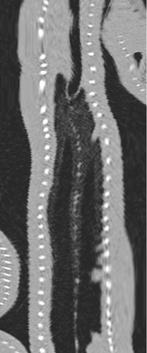 Details are in the caption following the image