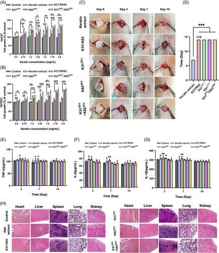 Details are in the caption following the image Details are in the caption following the image