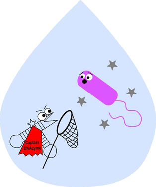 Selection and Characterization of an RNA-Cleaving DNAzyme Activated by Legionella pneumophila