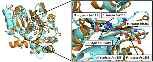 Details are in the caption following the image Details are in the caption following the image