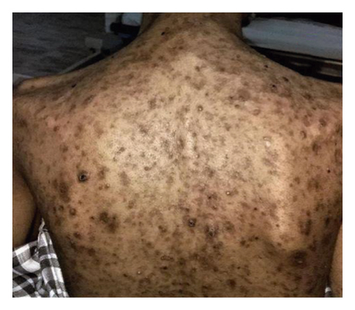 Details are in the caption following the image Details are in the caption following the image