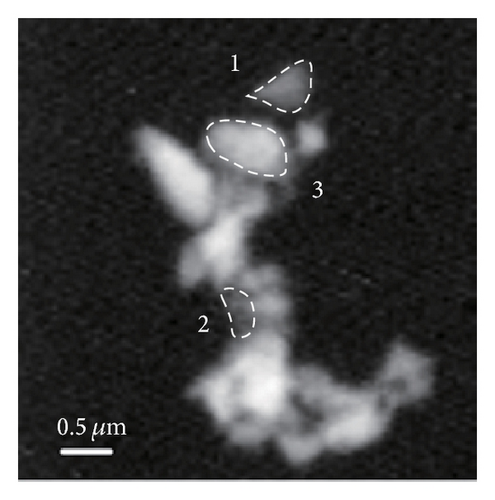 Details are in the caption following the image