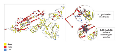 Details are in the caption following the image Details are in the caption following the image