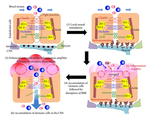 Details are in the caption following the image Details are in the caption following the image