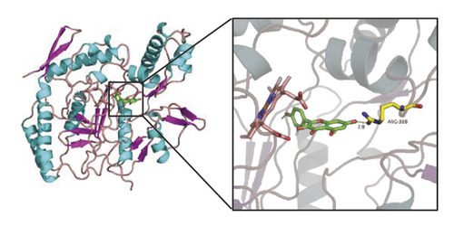Details are in the caption following the image Details are in the caption following the image