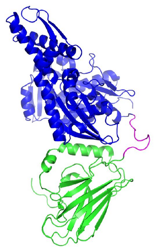 Details are in the caption following the image