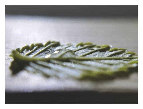 Details are in the caption following the image Details are in the caption following the image