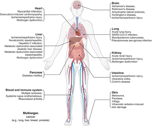 Details are in the caption following the image Details are in the caption following the image
