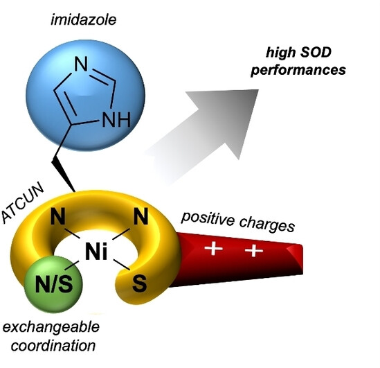 Outstanding Superoxide Dismutase Catalytic Activity Of Simple Peptide-Based Nickel(II) Complexes