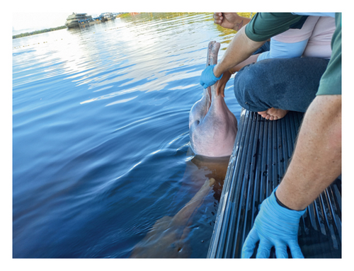 Details are in the caption following the image Details are in the caption following the image