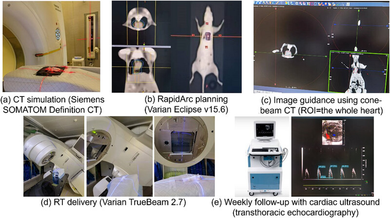 Heart ultrasound and biomechanical evaluation of radiation-induced heart toxicity using transthoracic echocardiogram (TTE) and dynamic mechanical analysis (DMA)