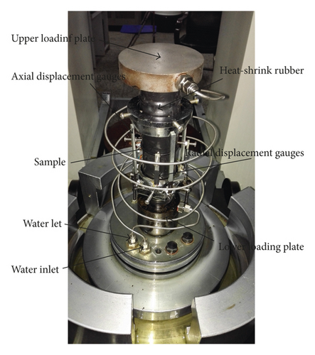 Details are in the caption following the image Details are in the caption following the image