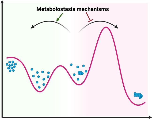 The Metabolostasis Network and the Cellular Depository of Aggregation-Prone Metabolites