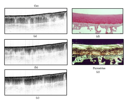Details are in the caption following the image Details are in the caption following the image