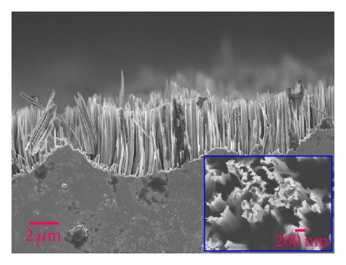 Details are in the caption following the image