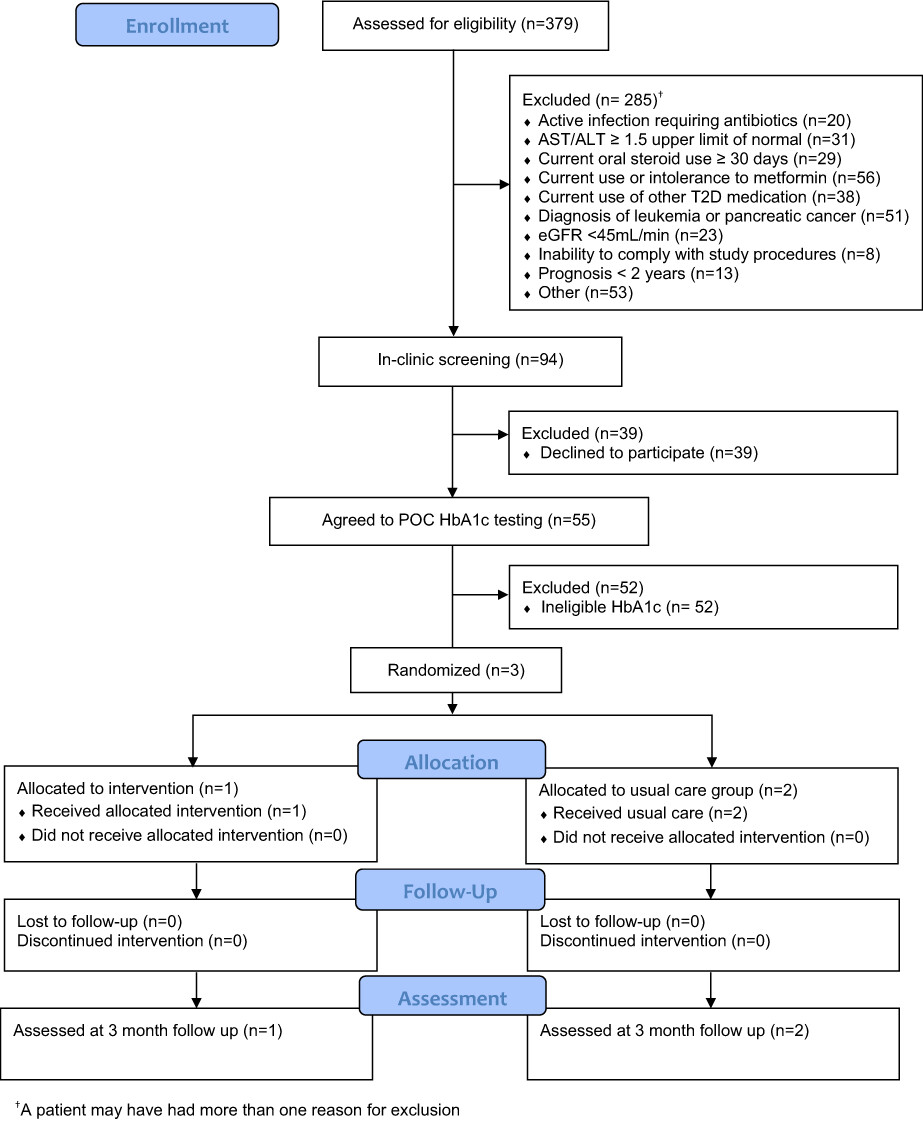 A nurse-led intervention in patients with newly diagnosed cancer and Type 2 diabetes: A pilot randomized controlled trial feasibility study