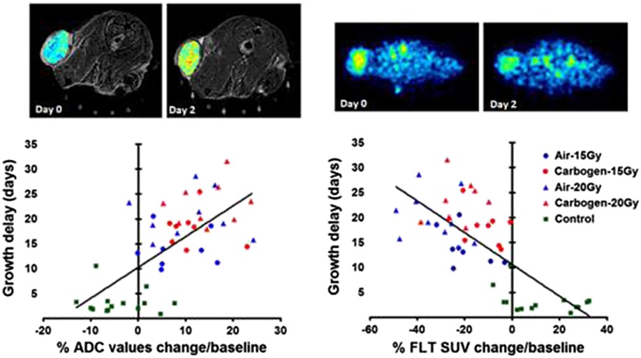 DW-MRI and 18F-FLT PET for early assessment of response to radiation therapy associated with hypoxia-driven interventions. Preclinical studies using manipulation of oxygenation and/or dose escalation