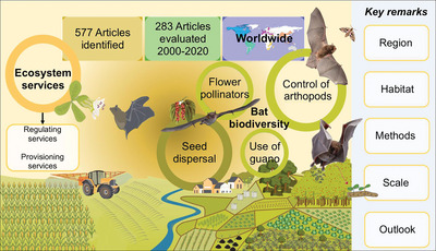 Bats and their vital ecosystem services: a global review