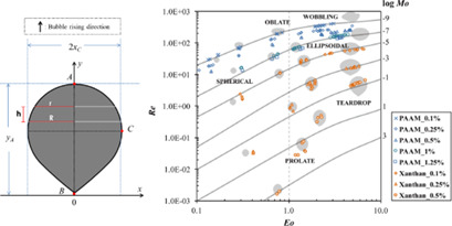 Characterization of Bubble Shapes in Non-Newtonian Fluids by Parametric Equations