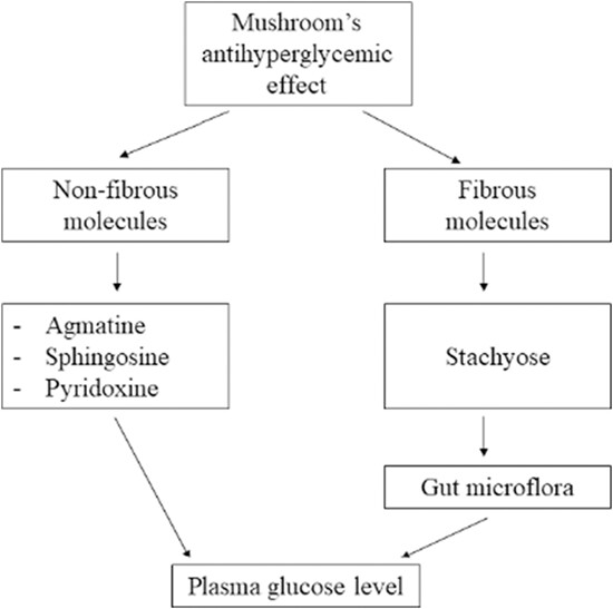 LC/MS analysis of mushrooms provided new insights into dietary management of diabetes mellitus in rats