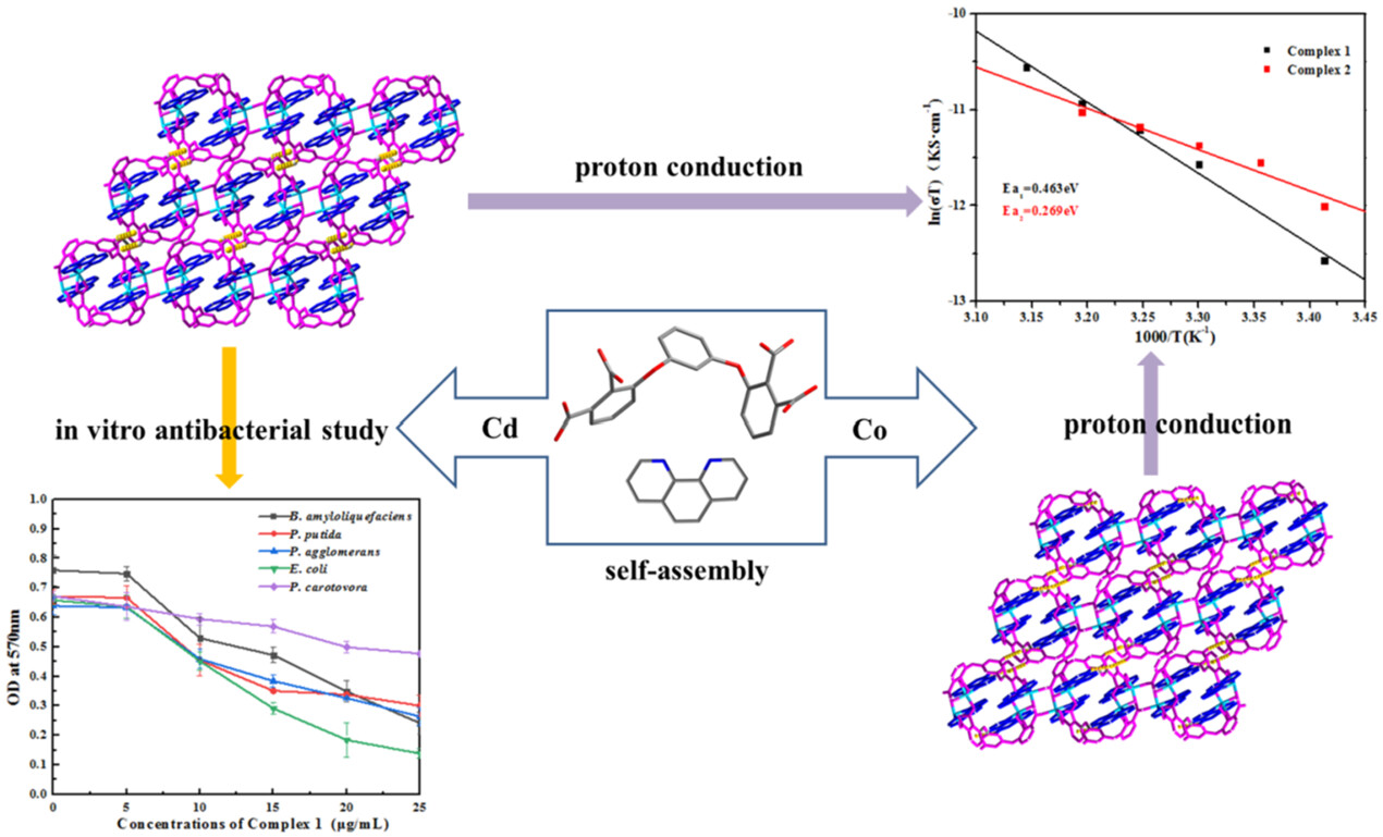 A comparative study of proton conduction between two new Cd(II) and Co(II) complexes and in vitro antibacterial study of the Cd(II) complex