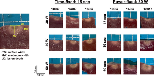 Details are in the caption following the image Details are in the caption following the image