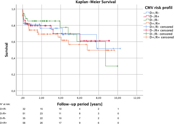 Cytomegalovirus mismatch after heart transplantation: Impact of antiviral prophylaxis and intravenous hyperimmune globulin