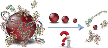 Regimes of Biomolecular Ultrasmall Nanoparticle Interactions