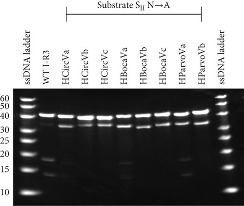 Details are in the caption following the image